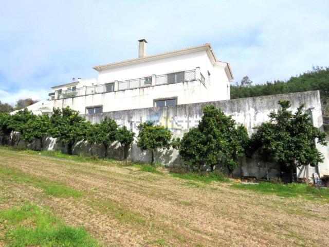 Moradia, Santo António dos Olivais