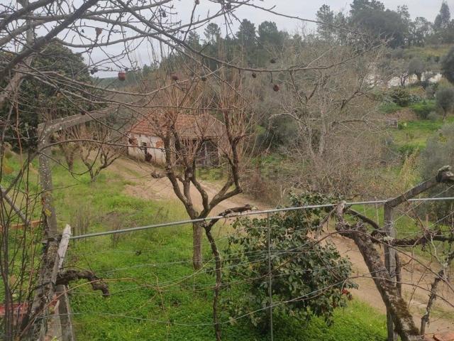 Moradia, Sardoal