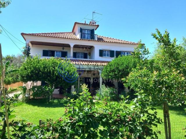 Moradia, Serra e Junceira