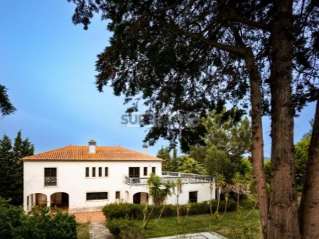 Moradia T4+1 na Carvoeira com terreno de 3437m2