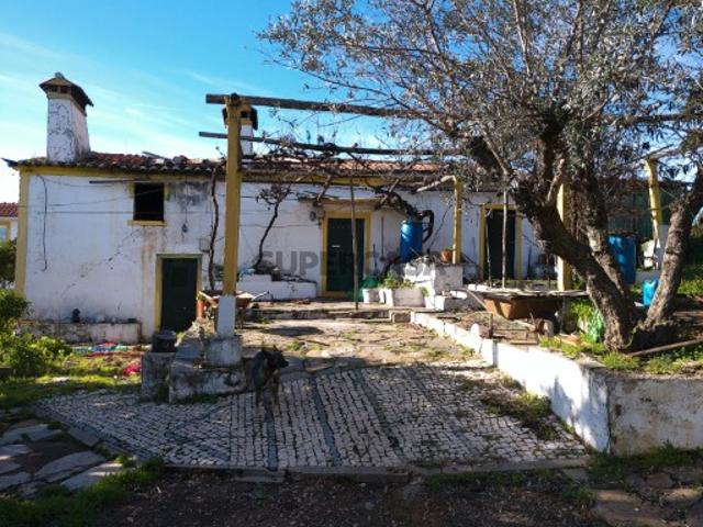 Moradia T4 Alegrete