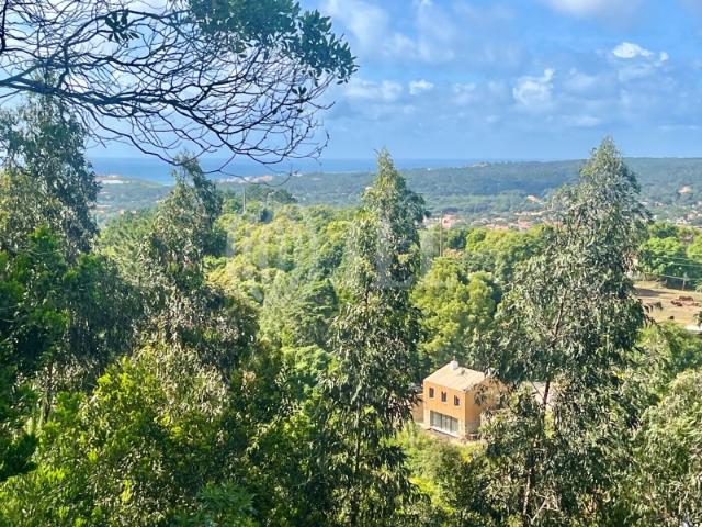 Moradia T4 com terraço e vistas em Colares Sintra