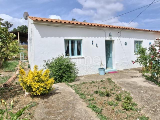 Moradia T4 com Jardim e Vista para Ribeiras – Pronta a Habitar