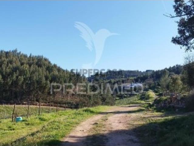 Moradia T4 em São Salvador da Aramenha