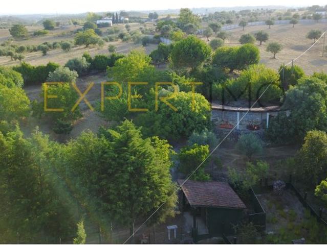Moradia T5, Achete, Azoia de Baixo e Póvoa de Santarém, Santarém | BPI Expresso Imobiliário