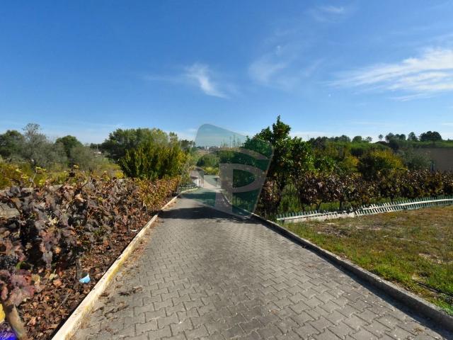 Moradia T5 em Alcoentre 375m² Alcoentre
