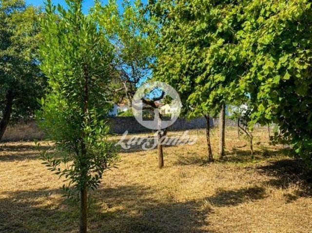 Moradia T5 em Barroselas | 26084097084