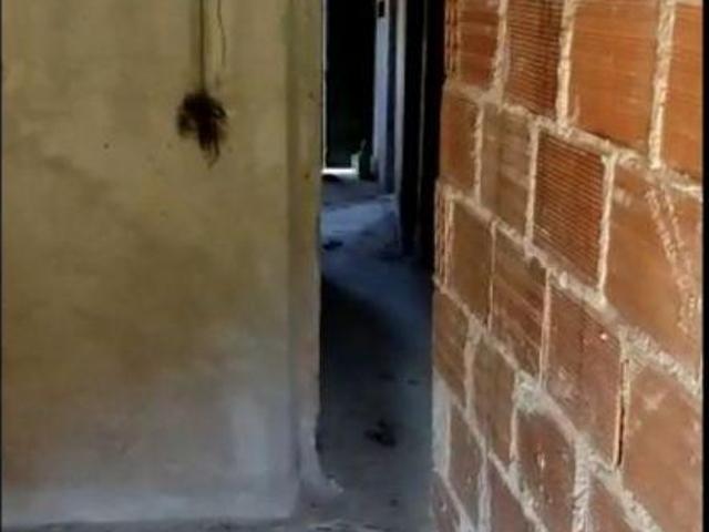 Moradia T6 à venda na Zona de Alqueva, Santana Portel Vidigueira. | 26083603897