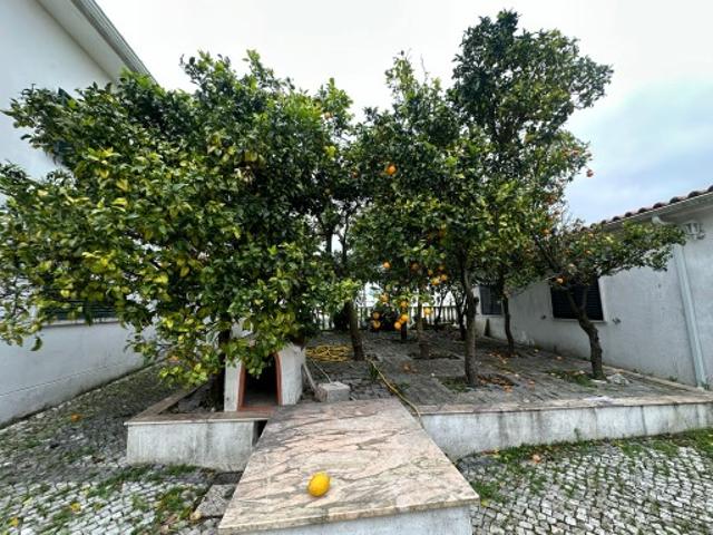 MORADIA T8 COM PISCINA E JARDIM EM ALGUEIRÃO SINTRA