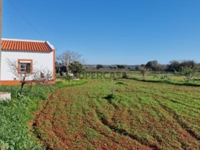 Moradia T1 com terreno de 6.200 m² em Odiáxere, Lagos O refúgio perfeito entre o campo e o mar
