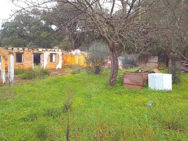 Moradia T2 à venda em Chamusca