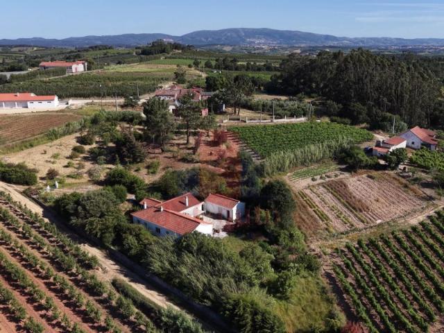 Moradia T2 com Terreno de 5.040 m² em Carvalhal, Bombarral