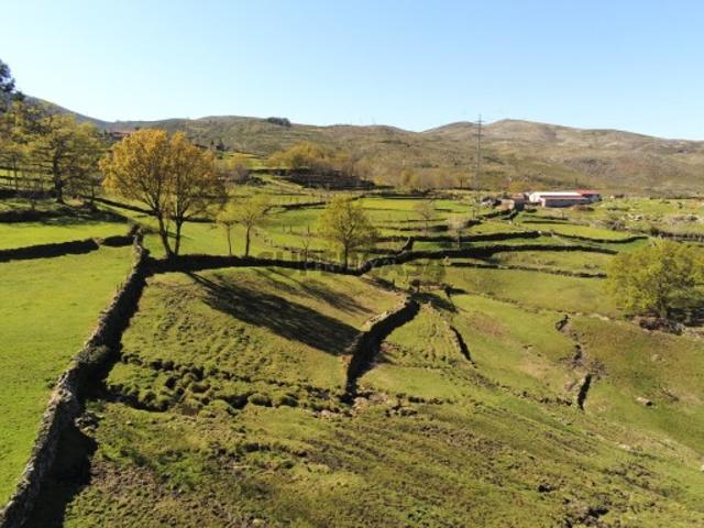 Moradia T2 em Ruivães e Campos