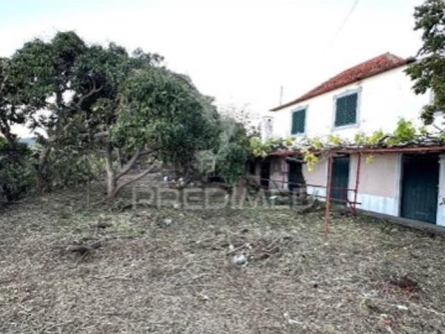 Moradia T2 em Santa Cruz