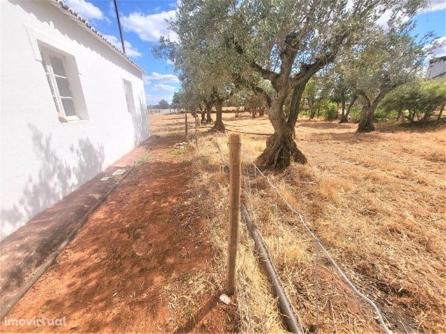 Moradia T2 inserida em terreno com 1140 m2, perto de Estremoz