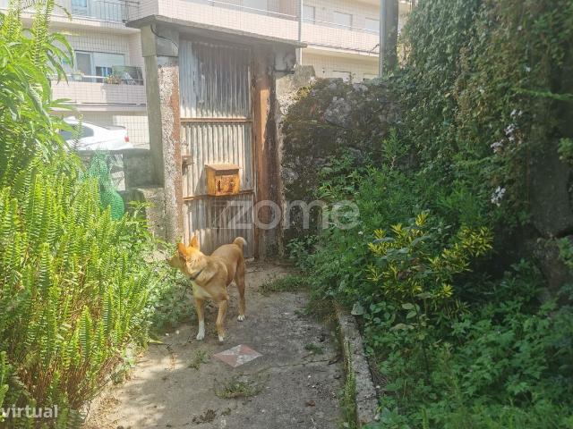 Casa T2 logradouro quintal jardim, a 1.8 km da praia, Valadares, Gaia