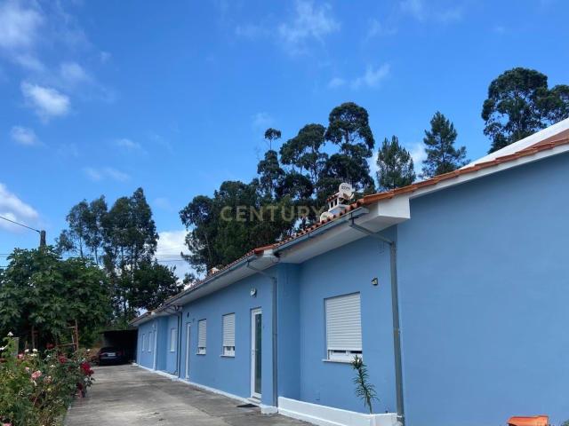 Moradia T2 Renovada com Quintal | Vimieiro, Santa Comba Dão