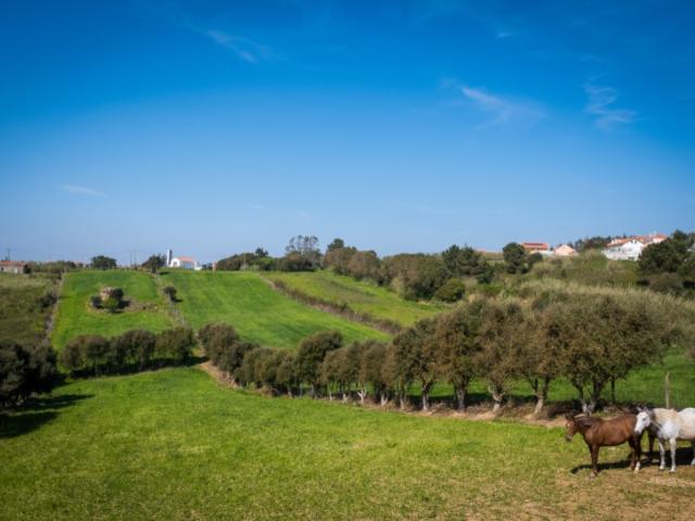 Moradia T3+1, Miragaia e Marteleira, Lourinhã | BPI Expresso Imobiliário