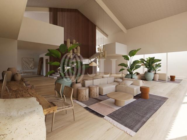 Moradia T3, no Ruína do Malhadal, Melides, Grandôla