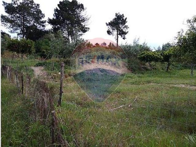 Moradia T3 à venda em Chamusca