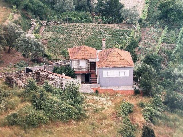 Moradia T3 em Pinheiro, Aguiar da beira com bastante potencial