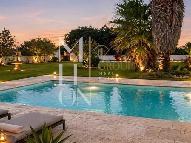 MORADIA T3 C/ PISCINA + 3.220m² | OPORTUNIDADE RARA
