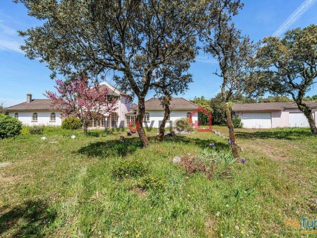 Moradia T3 com 10.000m2 de terreno | 26084084172