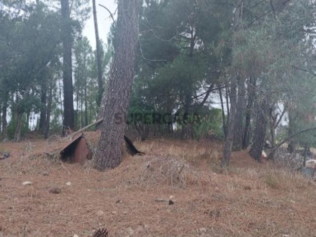 Moradia T3 com terreno Chainça, Abrantes