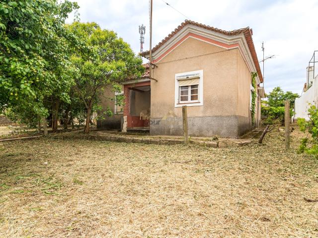 Moradia T3 com Terreno de 2.270m² no Centro do Entroncamento