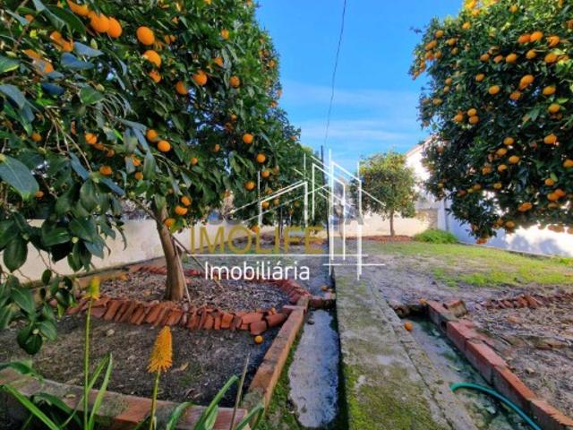Moradia T3 em Mora