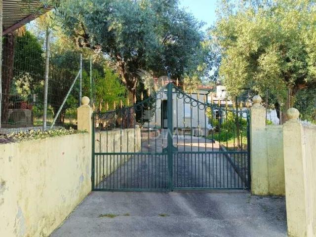 Moradia T3 em Olival