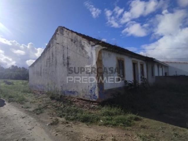 Moradia T3 em Chamusca e Pinheiro Grande