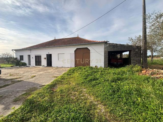Moradia T3 em Louriçal