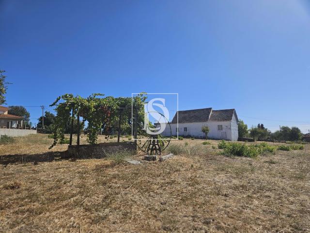 Moradia T3 em Paredes, com 2.250 m2 Terreno a 20 Minutos de Bragança