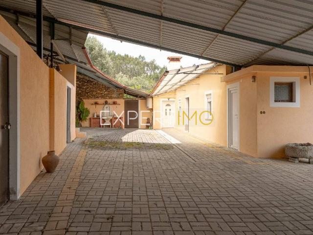 MORADIA T3 EM PROPRIEDADE DE 8.190 M² | Sobrosa, Espinho, Mortágua