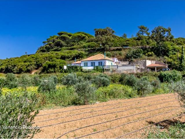 Moradia T3, Ericeira, Mafra | BPI Expresso Imobiliário