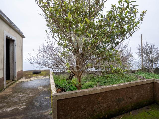 Moradia T3, Porto Moniz, Porto Moniz | BPI Expresso Imobiliário