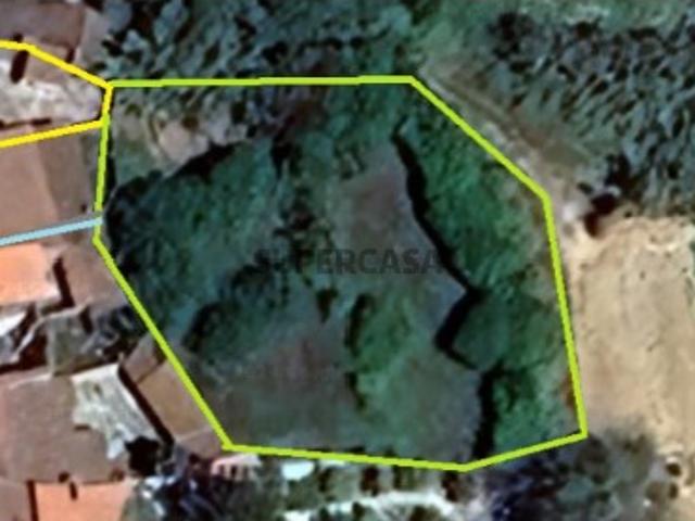 Moradia T3 + T1 com Armazém e Terreno
