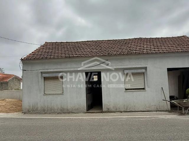 Moradia T3 Térrea Totalmente Remodelada | Oliveirinha