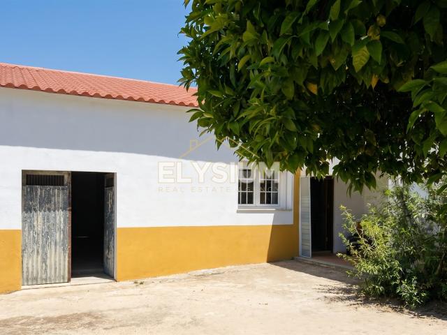 Moradia T3 Venda em Alpiarça,Alpiarça 88m² Alpiarça