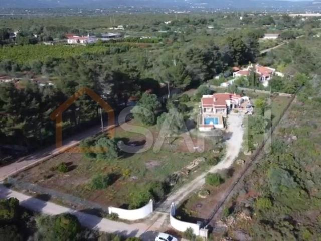 Moradia T3 173m² Algoz e Tunes