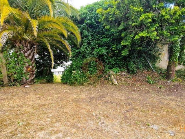 Moradia T3 | 26064091819