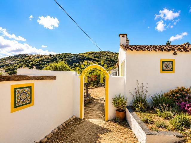 Moradia, Tavira