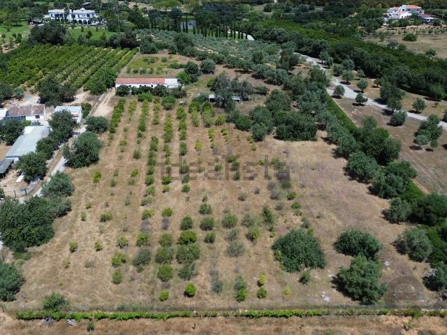 Moradia, Tavira