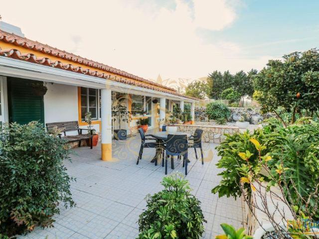 Moradia Terrea T2 Com 2 Anexos E Garagem | 26084021068