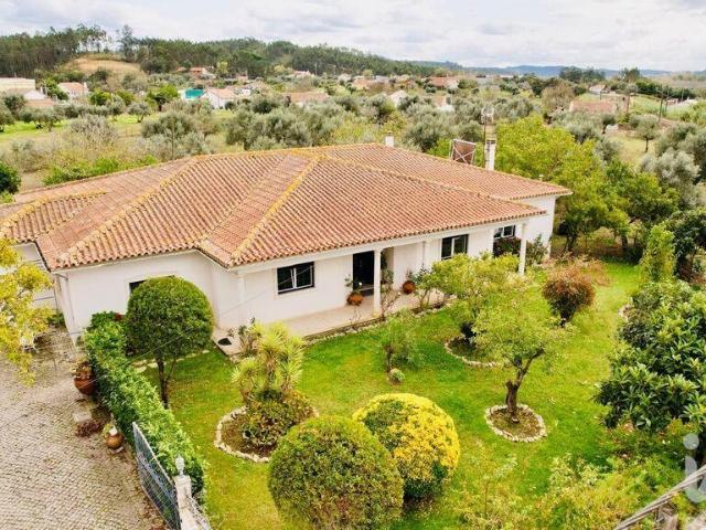 Moradia térrea T4 em Pelariga de 386 m²