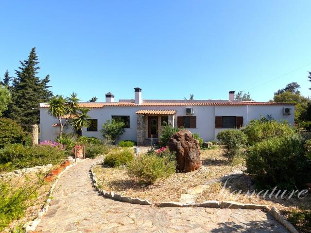 Moradia térrea com 4 quartos em suite aninhada na serra de S. 299m² Santa Bárbara De Nexe