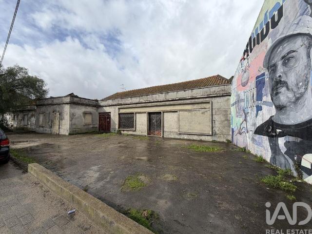 Moradia térrea em Benfica do Ribatejo 298m² Benfica Do Ribatejo