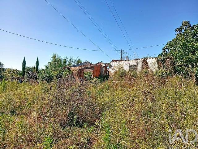 Moradia térrea em Ferreira do Zêzere
