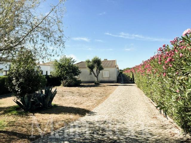 MORADIA TÉRREA GEMINADA T2 EM CONDOMÍNIO PRIVADO AZÓIA SESIMBRA